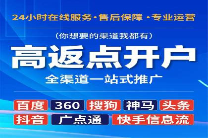 知名SEM运营公司实战案例解析